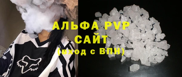 гидра Абаза