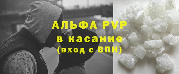 гашик Алексин