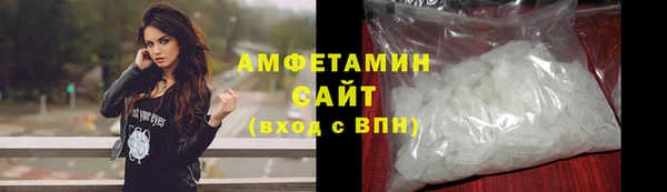 гидра Абаза
