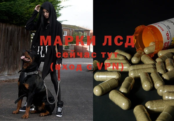 не бодяженный Медвежьегорск