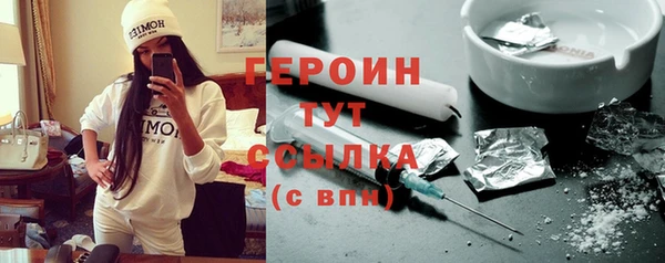 гашик Алексин