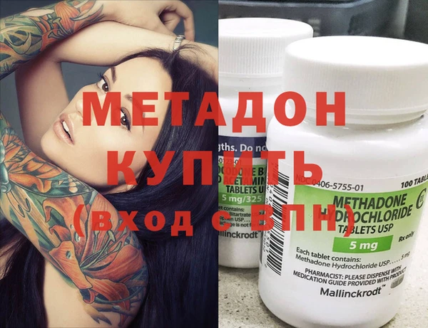 гашик Алексин