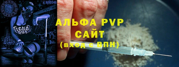 гашик Алексин