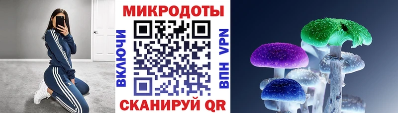 блэк спрут вход  Подпорожье  Галлюциногенные грибы ЛСД 